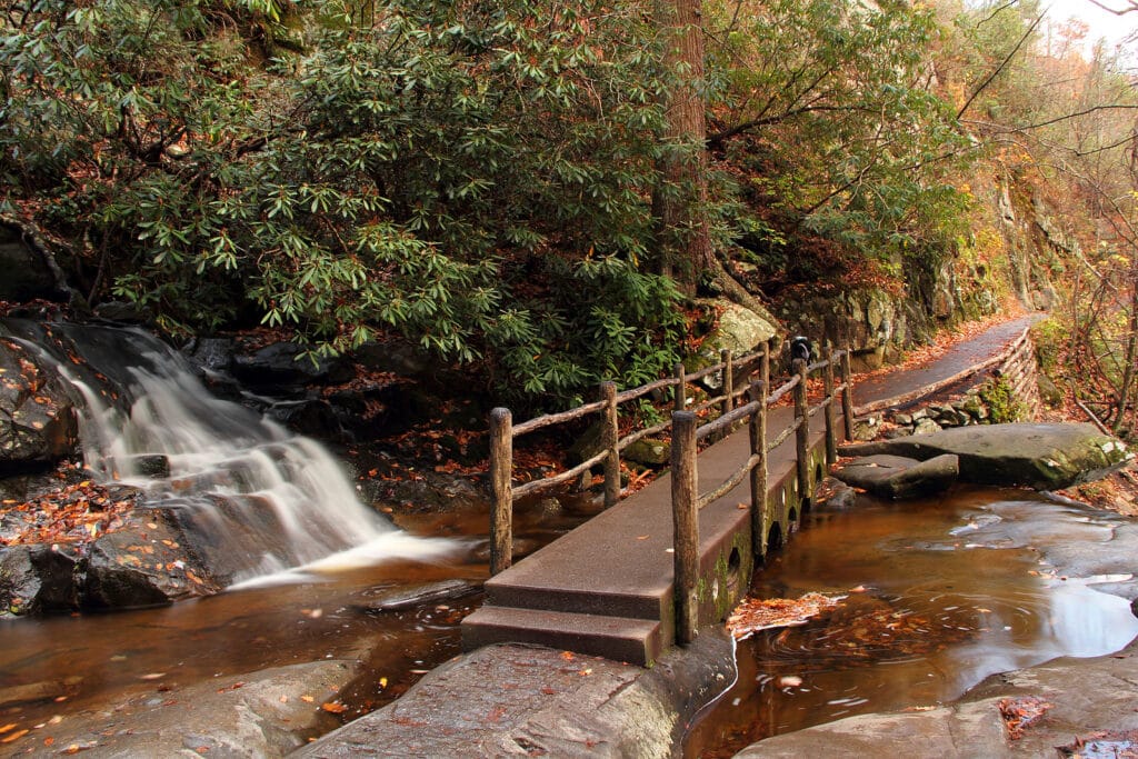 Save On Vacations Reviews Virginia's Popular Outdoor Parks 3